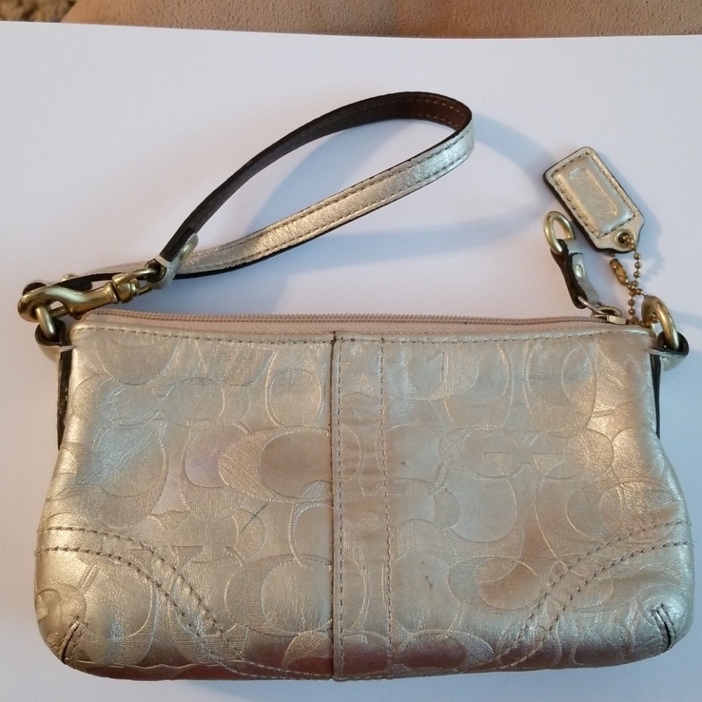 Coach Clutch/Makeup